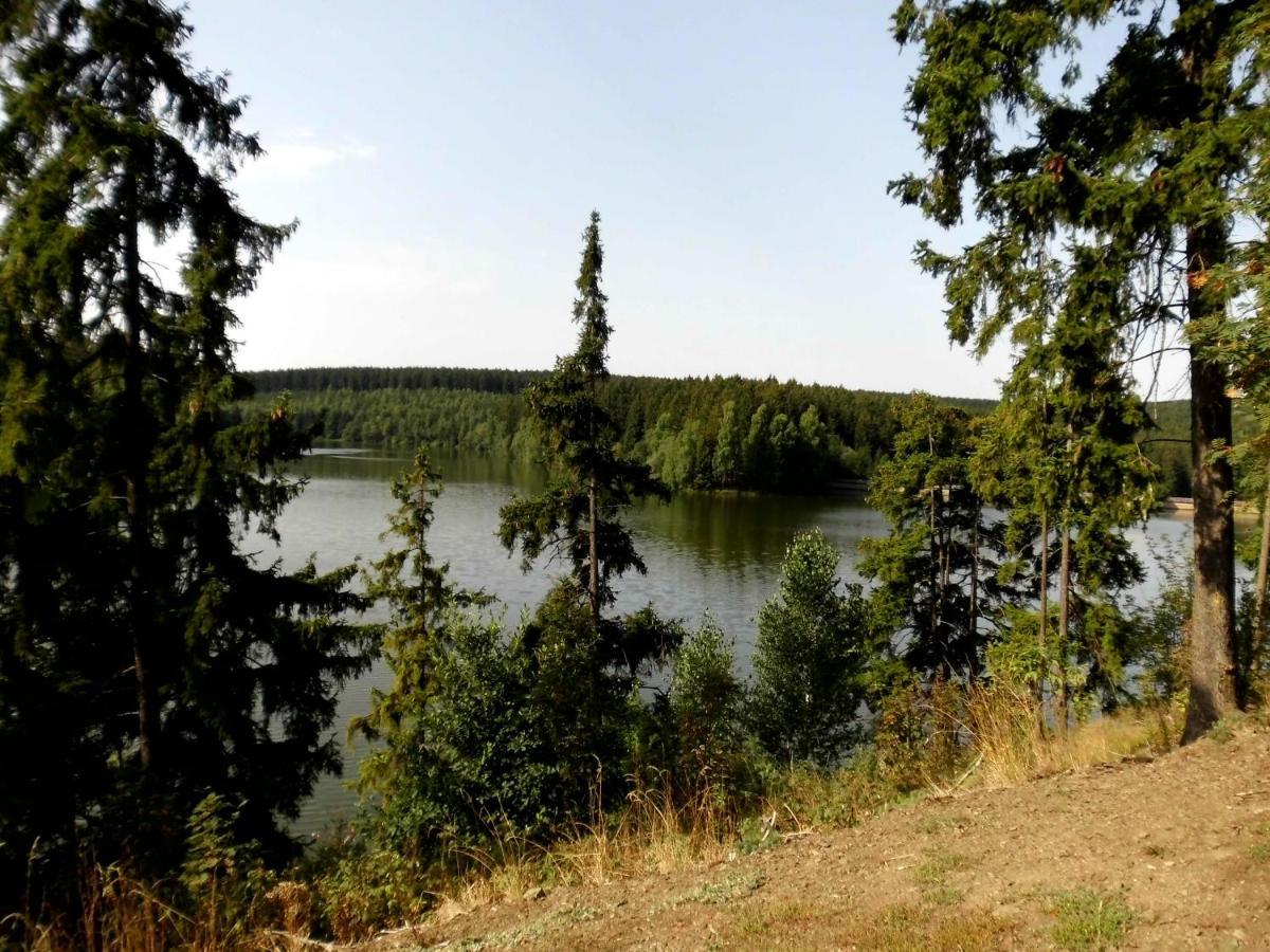 Ferienwohnung Inga Hasselfelde Bagian luar foto